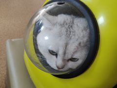 -宠颐生中康贝怡动物医院