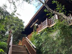 -三亚亚龙湾人间天堂鸟巢度假村
