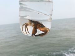 -日照灯塔风景区