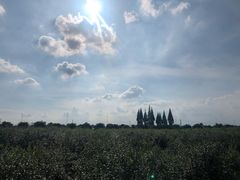 -金谷域澳洲庄园