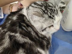 -美联众合动物医院·24h京西诊疗中心