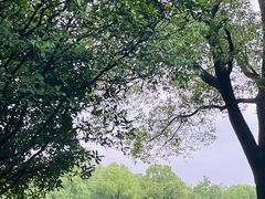 -吴淞炮台湾湿地森林公园烧烤区