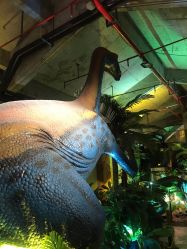 -恐龙探索乐园(磁器口店)