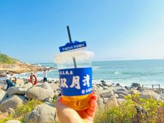 -广东惠东海龟国家级自然保护区