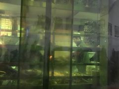 -老乌家特色小炒泡馍(大皮院店)