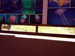 -南昌海洋公园