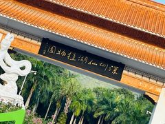 -深圳仙湖植物园