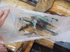 -九曲溪竹筏码头