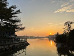-陈鹏鹏潮汕菜(欢乐海岸 海边景观店)