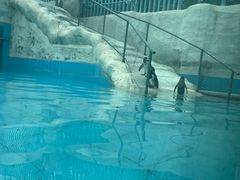 -新疆天山野生动物园