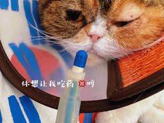 -美联众合动物医院(·中兽医·疑难杂症·严家桥分院)