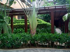 -三亚湾海居铂尔曼度假酒店