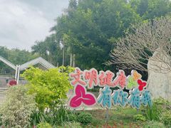 -深圳国际园林花卉博览园