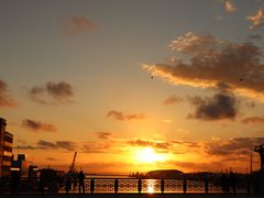 -币舞桥