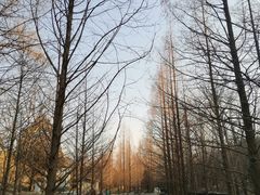 -白水寺森林公园