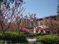 -金桥现代产业园区-停车场