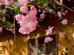 -龙华寺