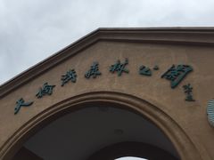 -丹东天桥沟景区