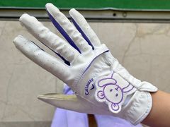 -棕榈泉国际高尔夫学院