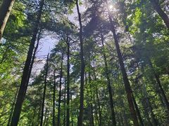 -洛阳白云山景区