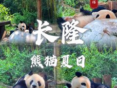 -广州长隆国际大马戏