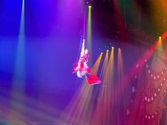 -珠海横琴长隆《卡卡虎奇遇记》