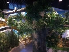 -黄海国家森林公园