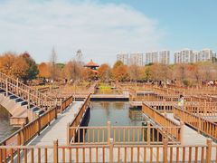 -五缘湾湿地公园