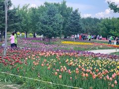 -长春公园(普阳街道)