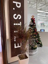 -P.STYLE派斯造型