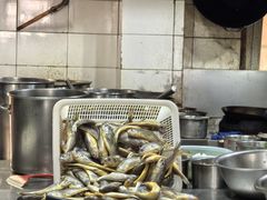 -明呈黄鱼面馆(斜土路店)