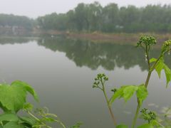 -顺鑫绿色度假村
