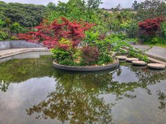 -雨花胜境