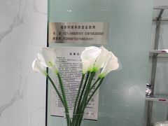 -福奈特洗衣洗鞋(海阳路店)