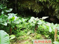 -海口火山口国家地质公园