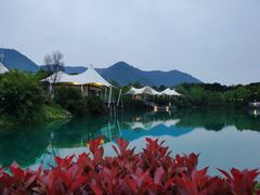 -帐篷客·溪龙茶谷度假酒店