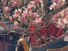 -潭柘寺景区