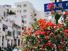 -海口骑楼老街历史文化街区