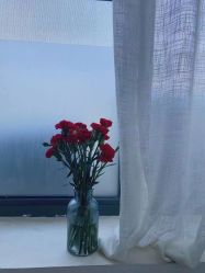 -安那般那皮肤年轻化ANAPANA