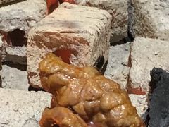 -醉月城西昌火盆烧烤(天府店)