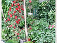 -金陵花卉交易市场