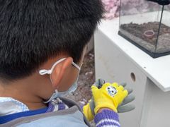 -云间粮仓