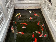 -鲤院·新中式美学·庭院餐厅(夫子庙店)