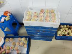 -老袁家蜜桃农场·阳山水蜜桃