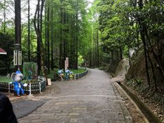 -灵栖洞天
