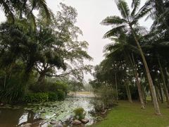-中国科学院西双版纳热带植物园