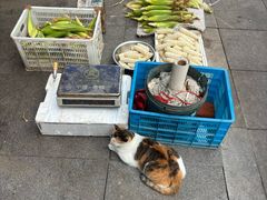 -仓桥面结店