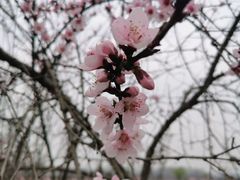 -洨河生态公园