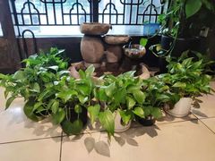 -莱蔻·圣灸堂·推拿艾灸(天山店)