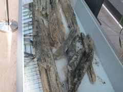 -西安大唐西市博物馆